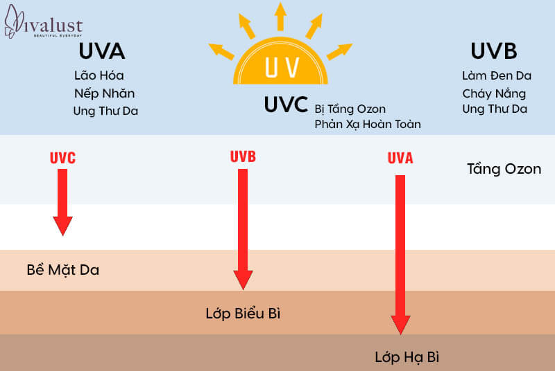 Ảnh hưởng tia UVA và tia UVB lên da