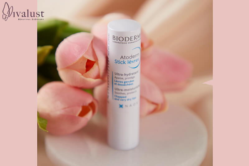Son dưỡng Bioderma Atoderm Stick Lerves