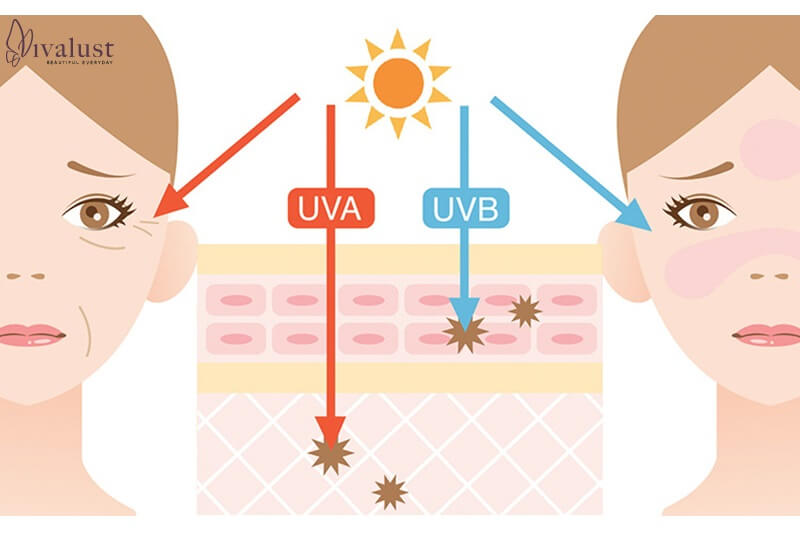 Tia UV - Ác mộng đối với làn da